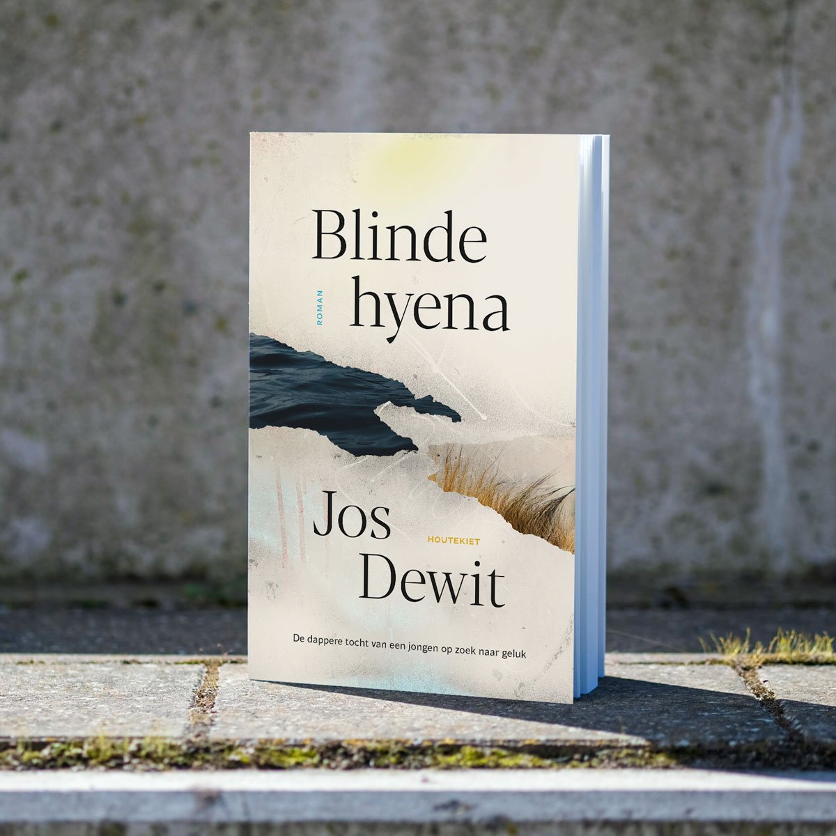 Boek cover Blinde Hyena Jos Dewit