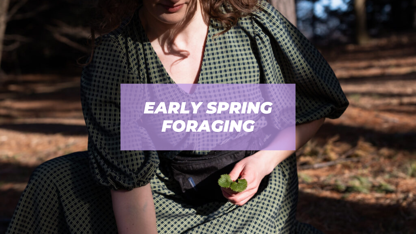 early-spring-foraging.png