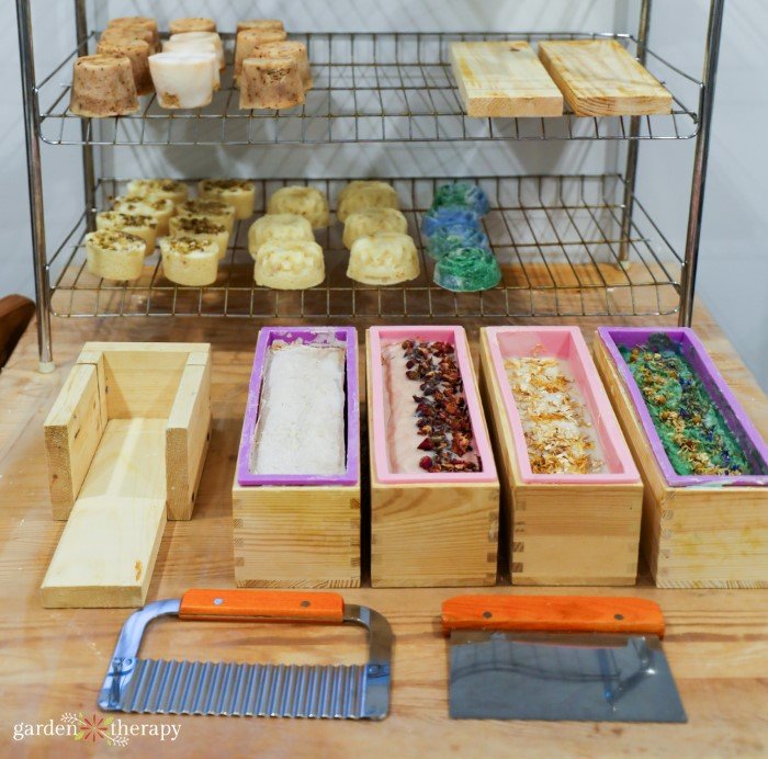 soaps-ready-for-cutting.jpg