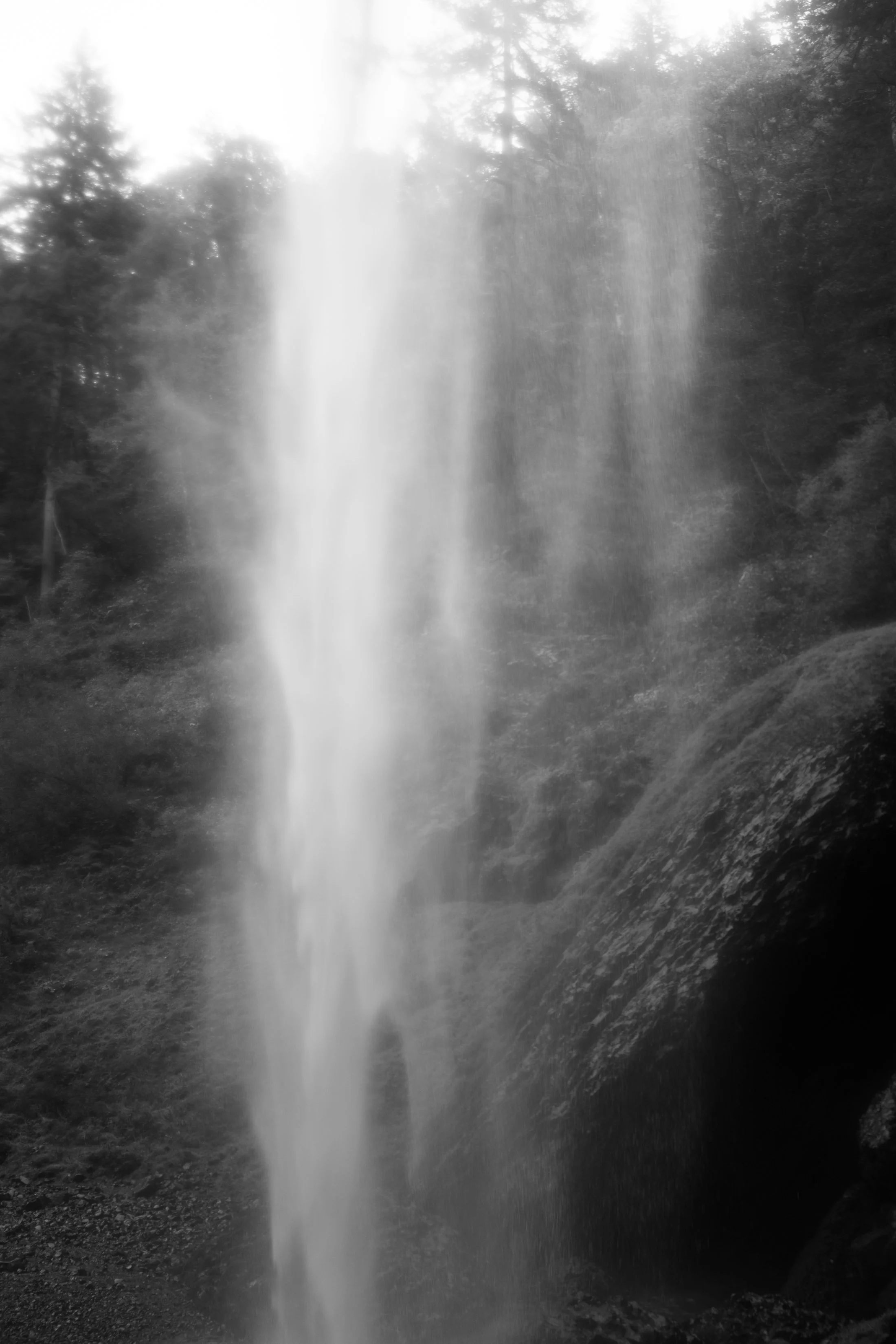 ©Jen Timmer Trail-0527.jpg
