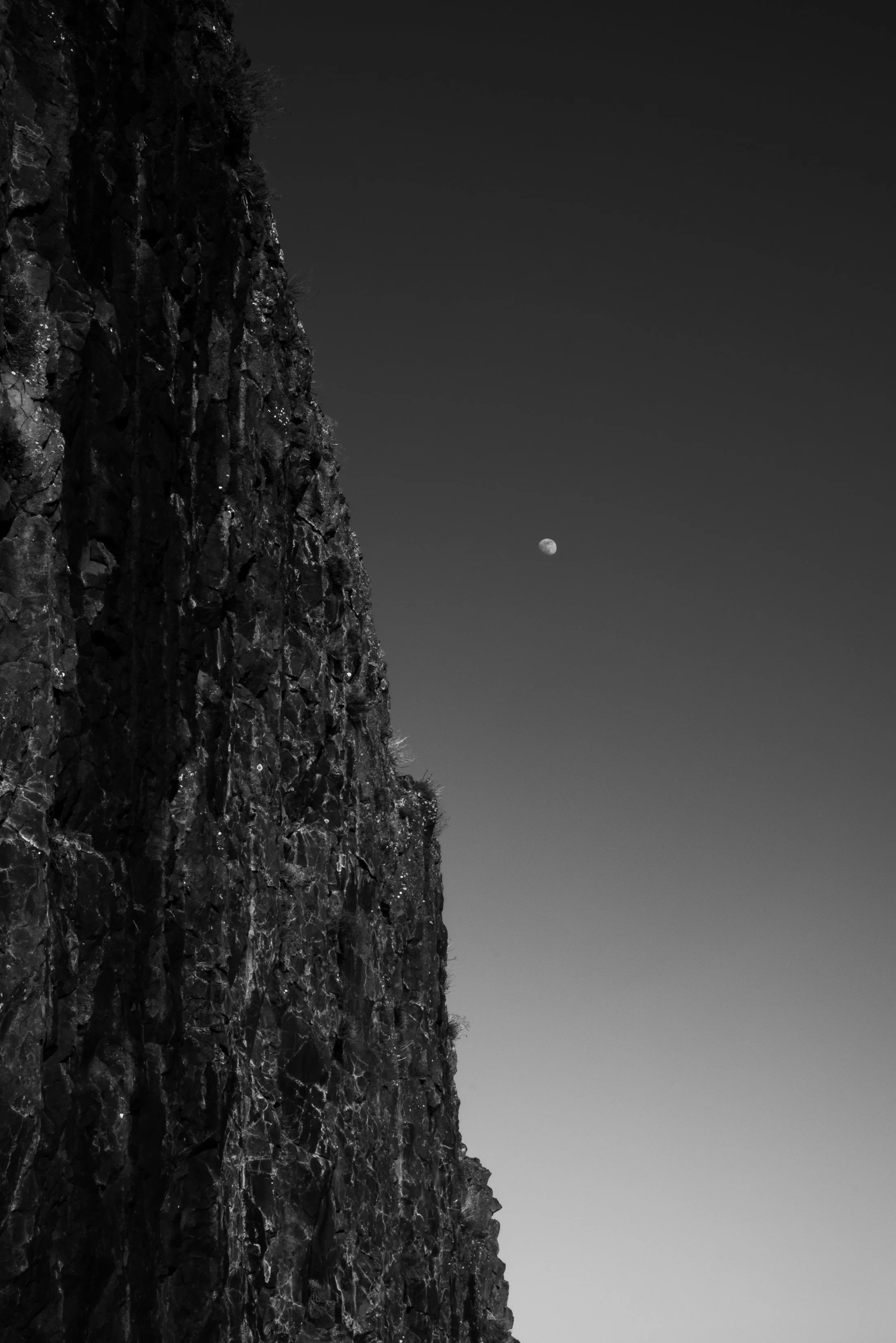 ©Jen Timmer Trail-9618.jpg