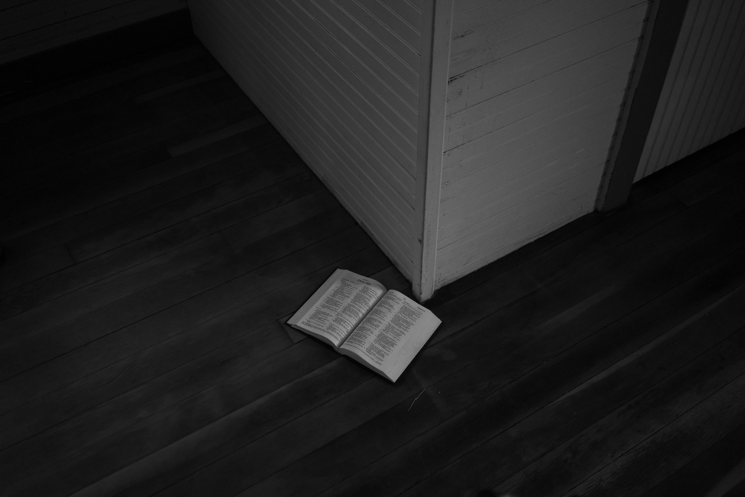 ©JenTimmerTrail-0902.jpg