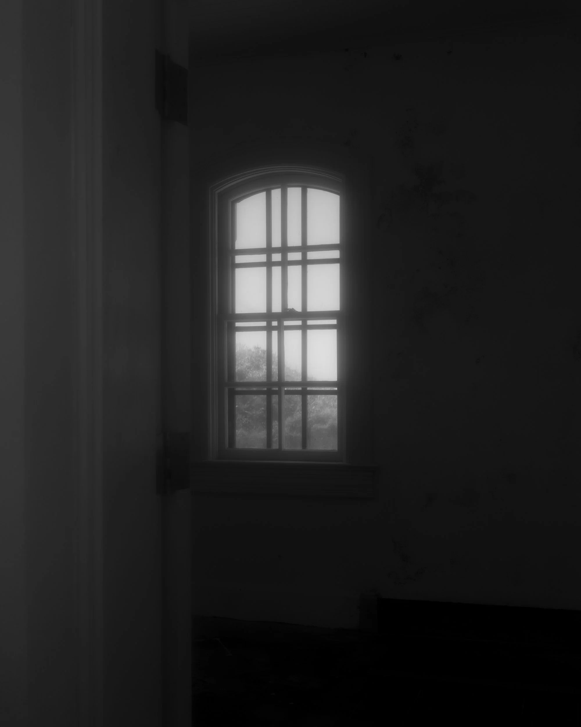 ©JenTimmerTrail_Saccharine__01.jpg
