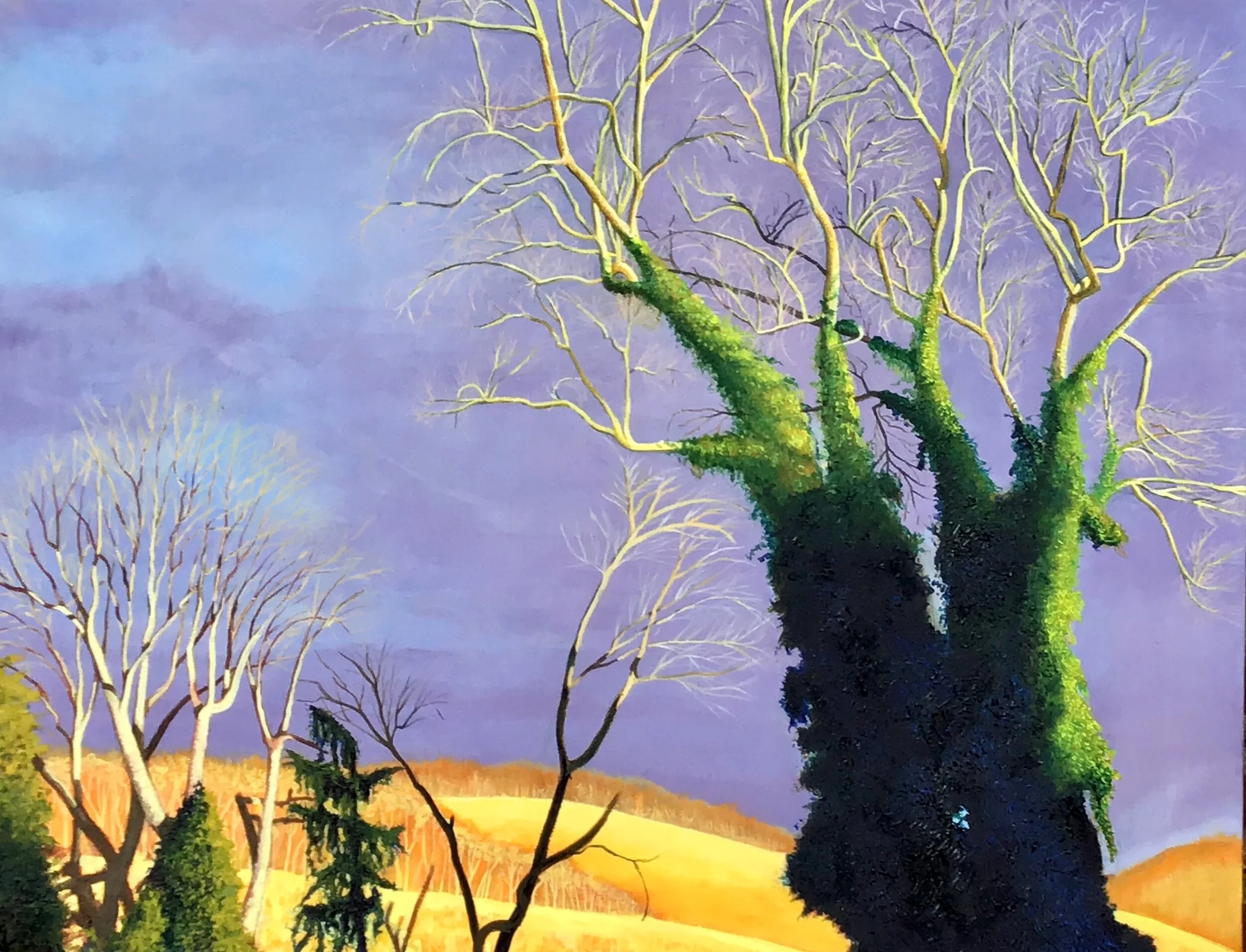 Golden Moment: 2019 (Slaughter Farm Series) /  28" x 22" / Oil on Canvas