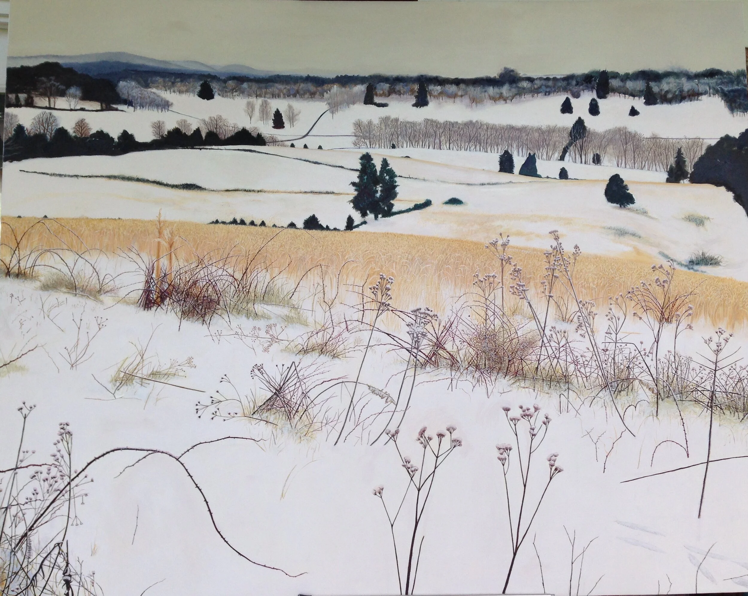 Winter Cover: (Slaughter Farm Series) / 5' x 4' / Oil on Canvas