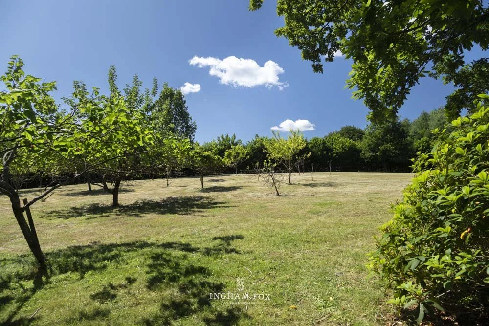 Upper Shalford-11.jpg