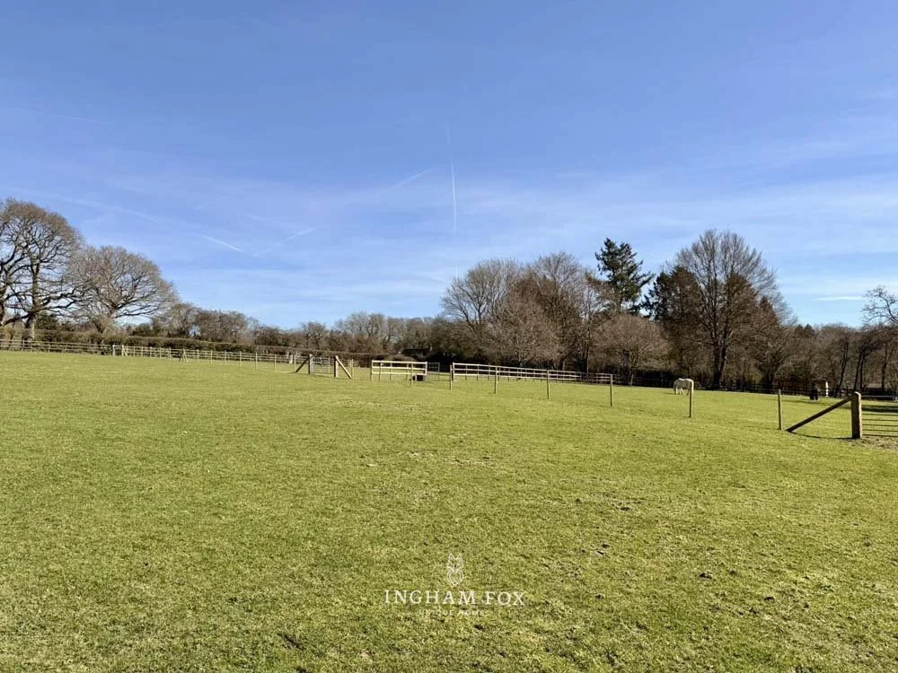 PHOTO-2026-03-21-11-41-56 3.jpg