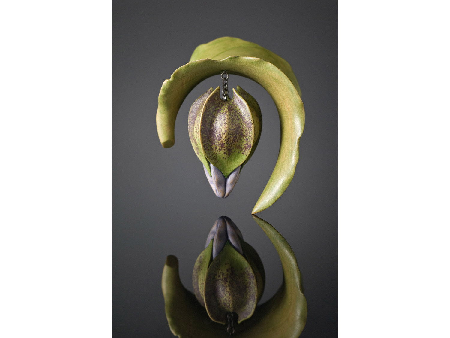 Nicandra Pod and Leaf - Brooch