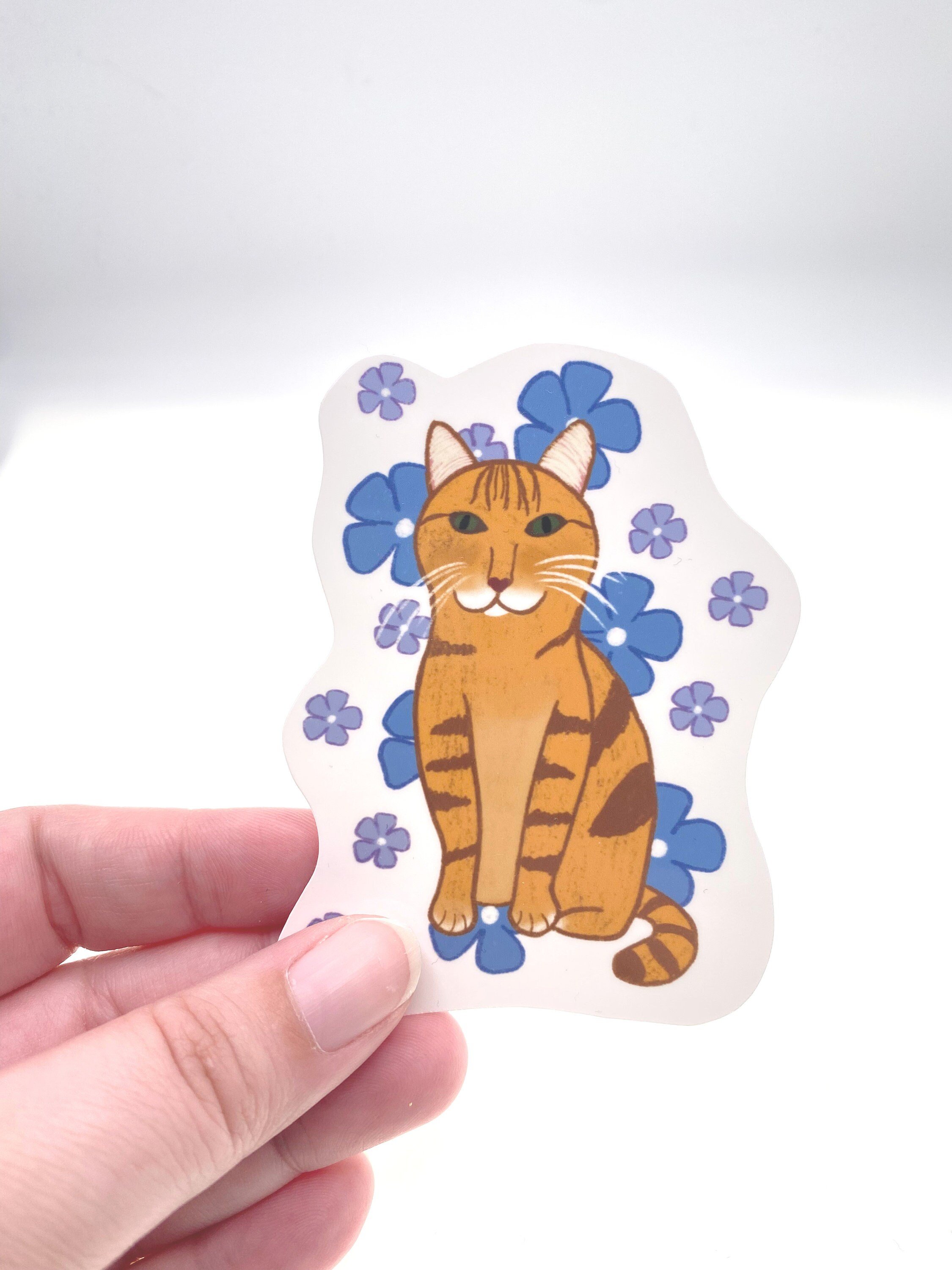 https://i.etsystatic.com/36089107/r/il/6dfc05/3928765452/il_fullxfull.3928765452_fn5z.jpg