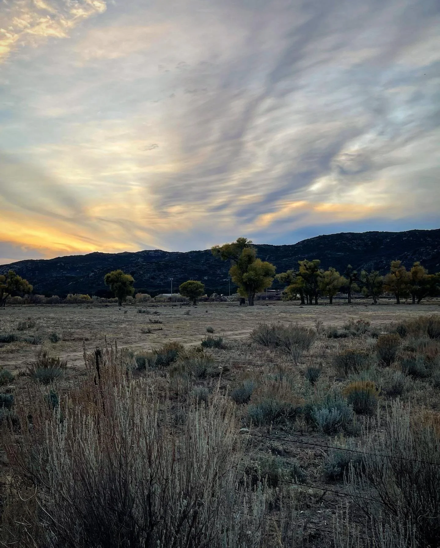 258873693_126800119763130_5382912344680623963_n_18154051132207552.jpg