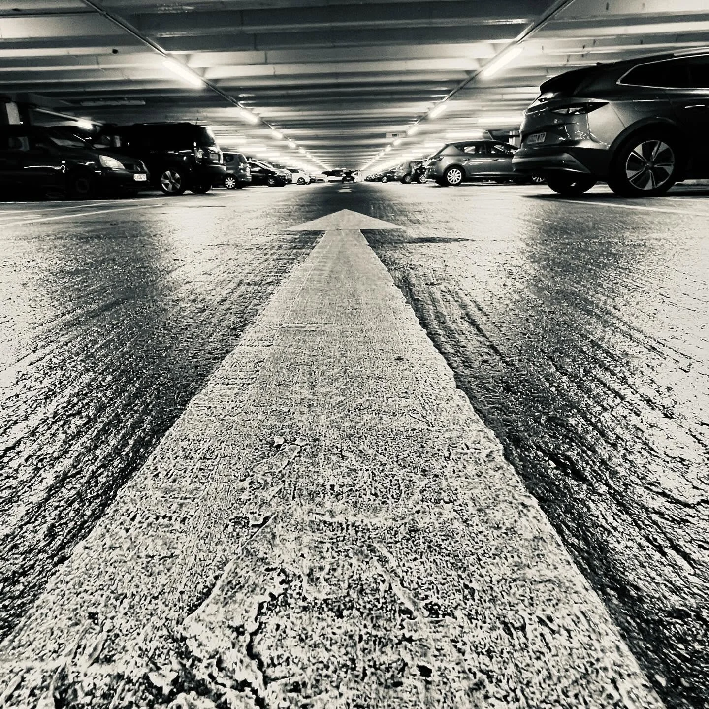 468810589_1657333951881336_1128366263006305565_n_18063822301768833.jpg