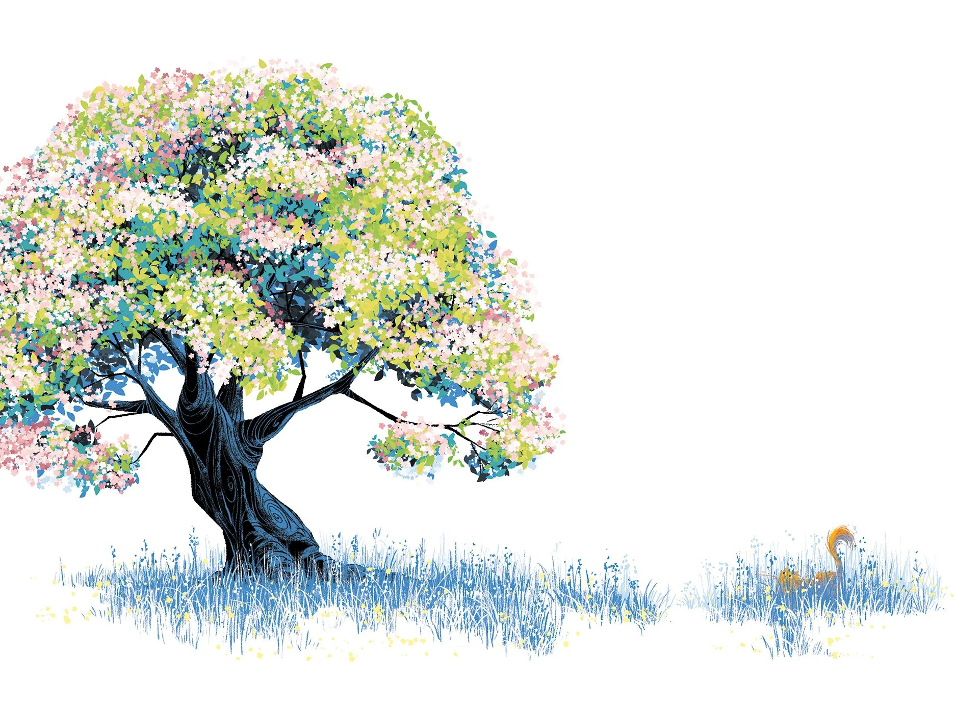 BIRD_SPRING4.jpg