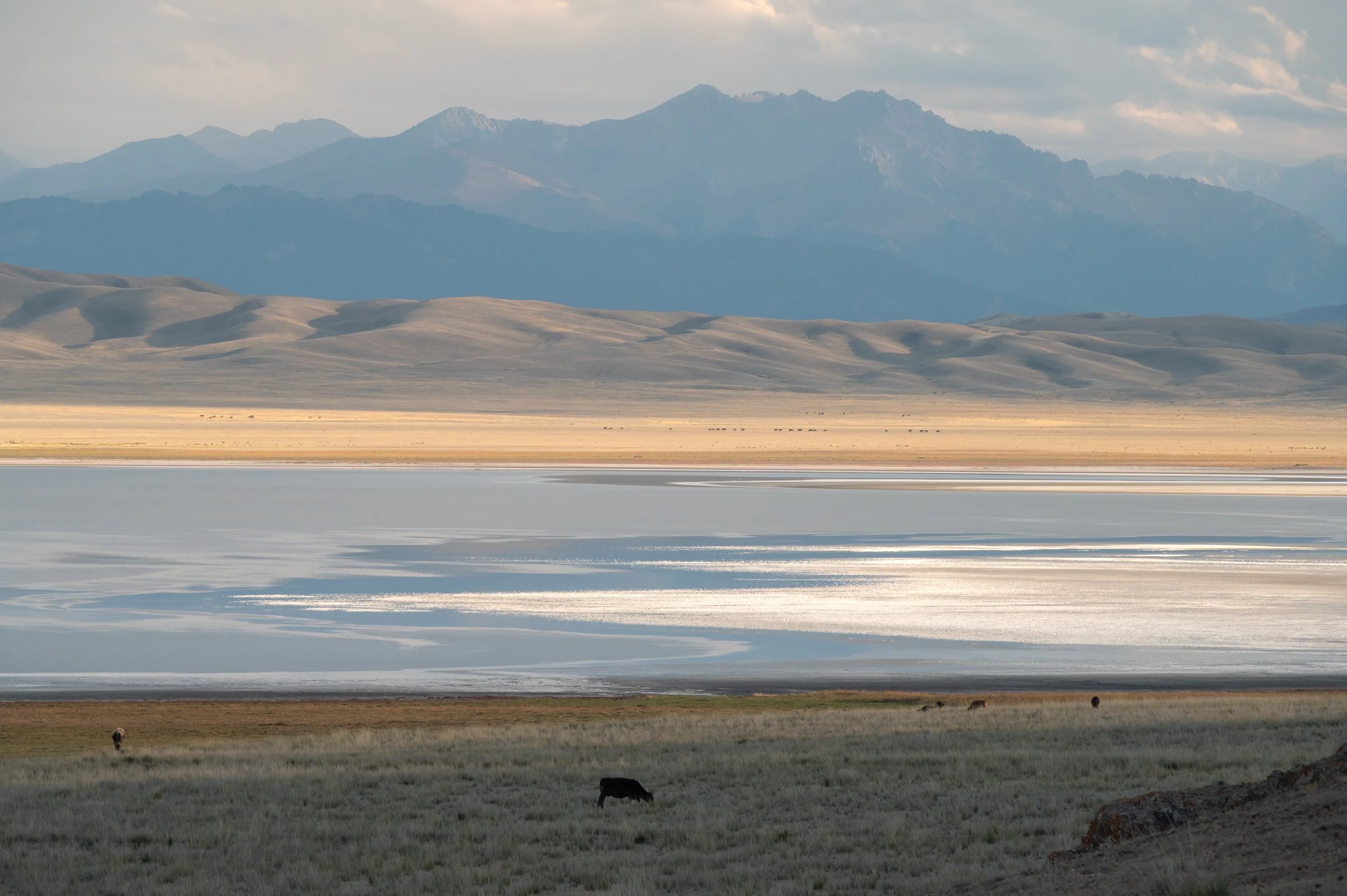 Tuzkol, colori e animali.jpg