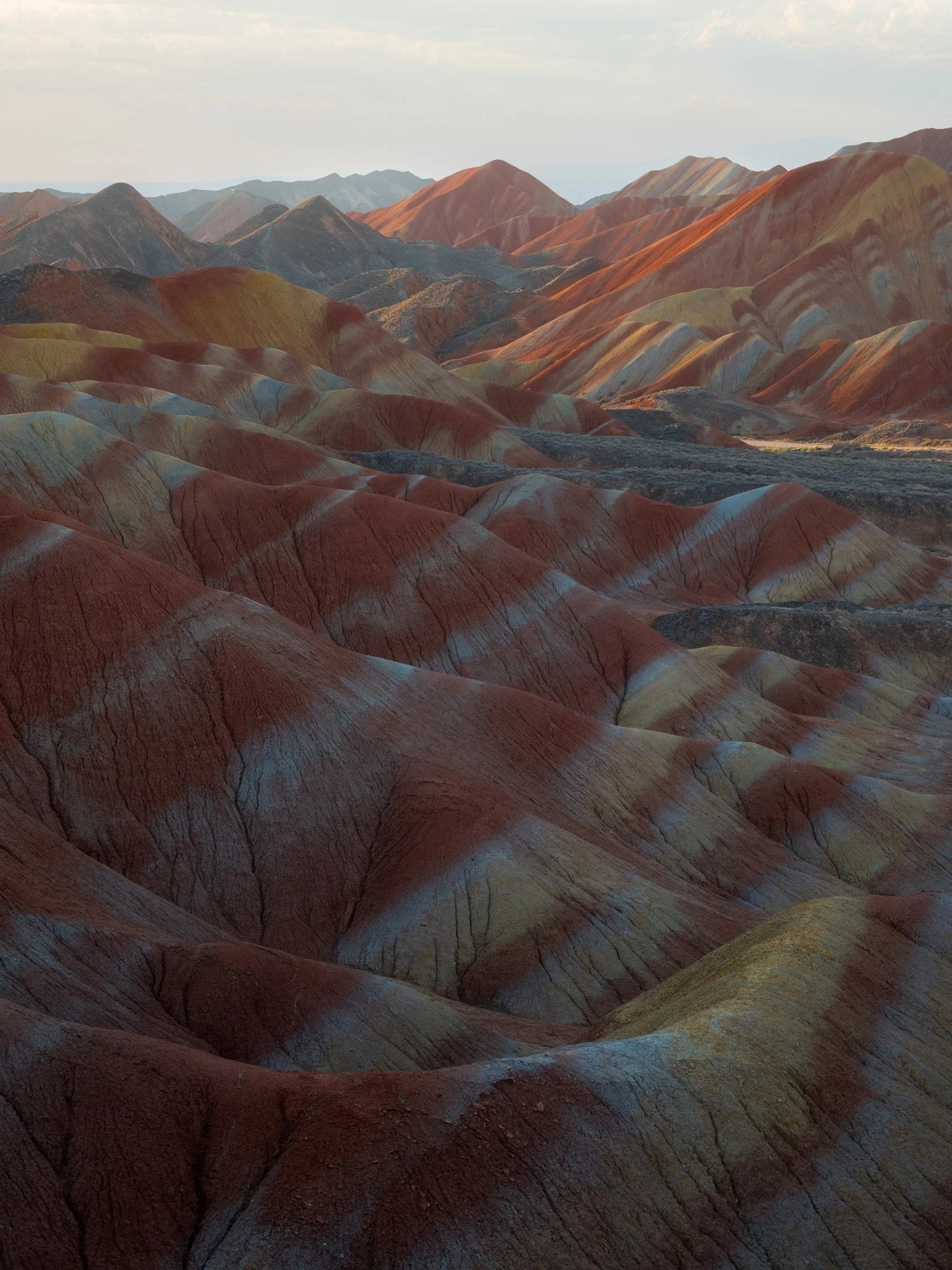 Danxia alba-1.jpg