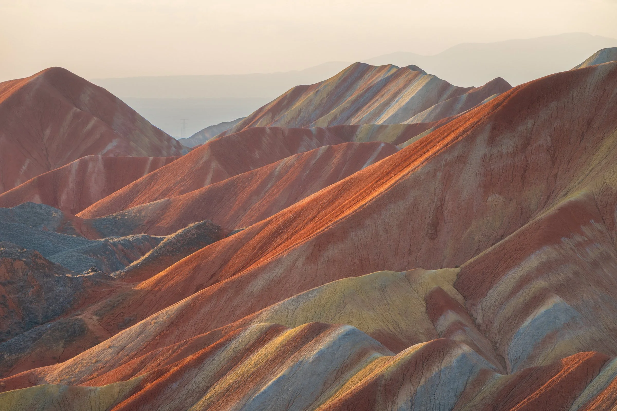 Danxia alba-2.jpg