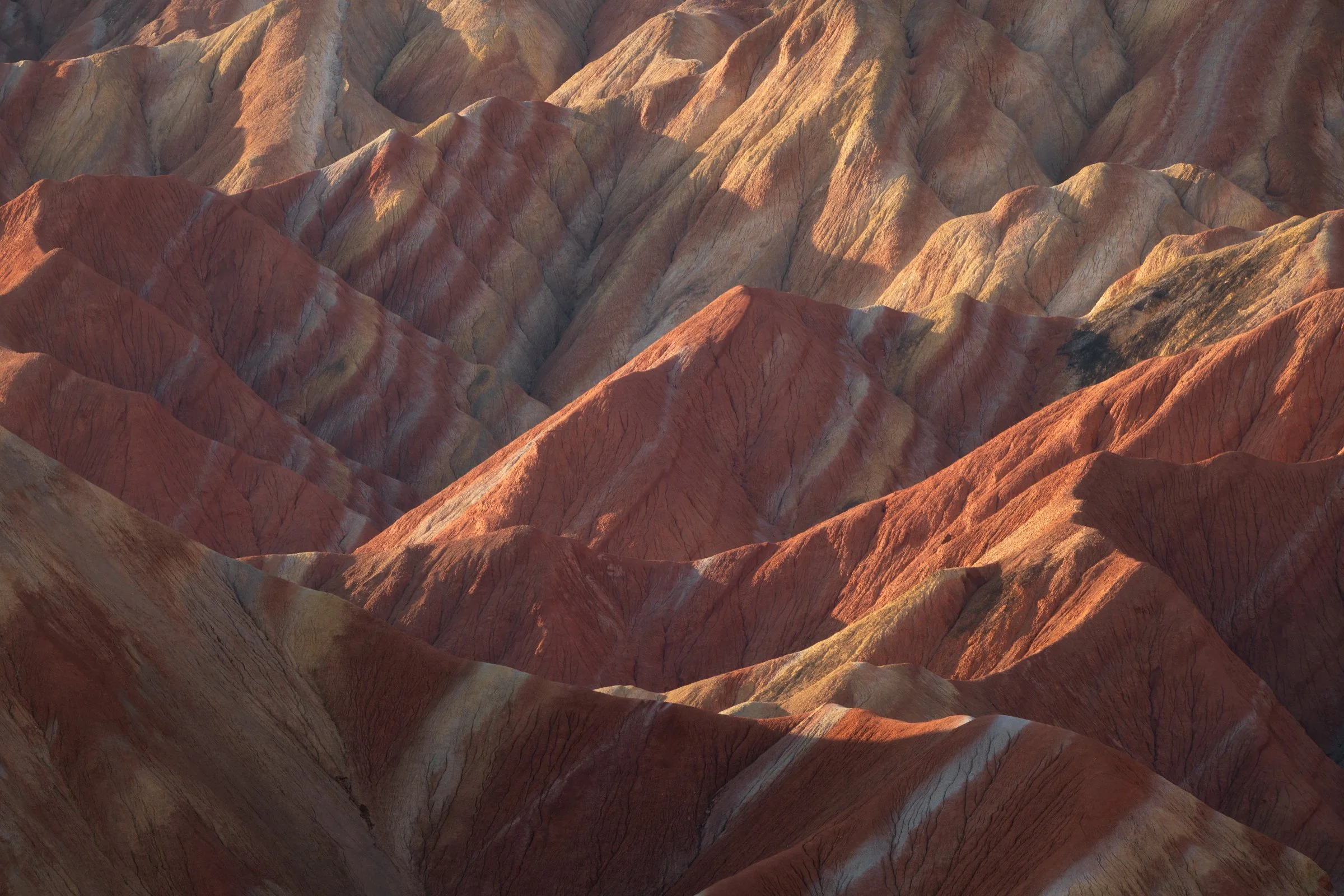 Danxia alba-4.jpg