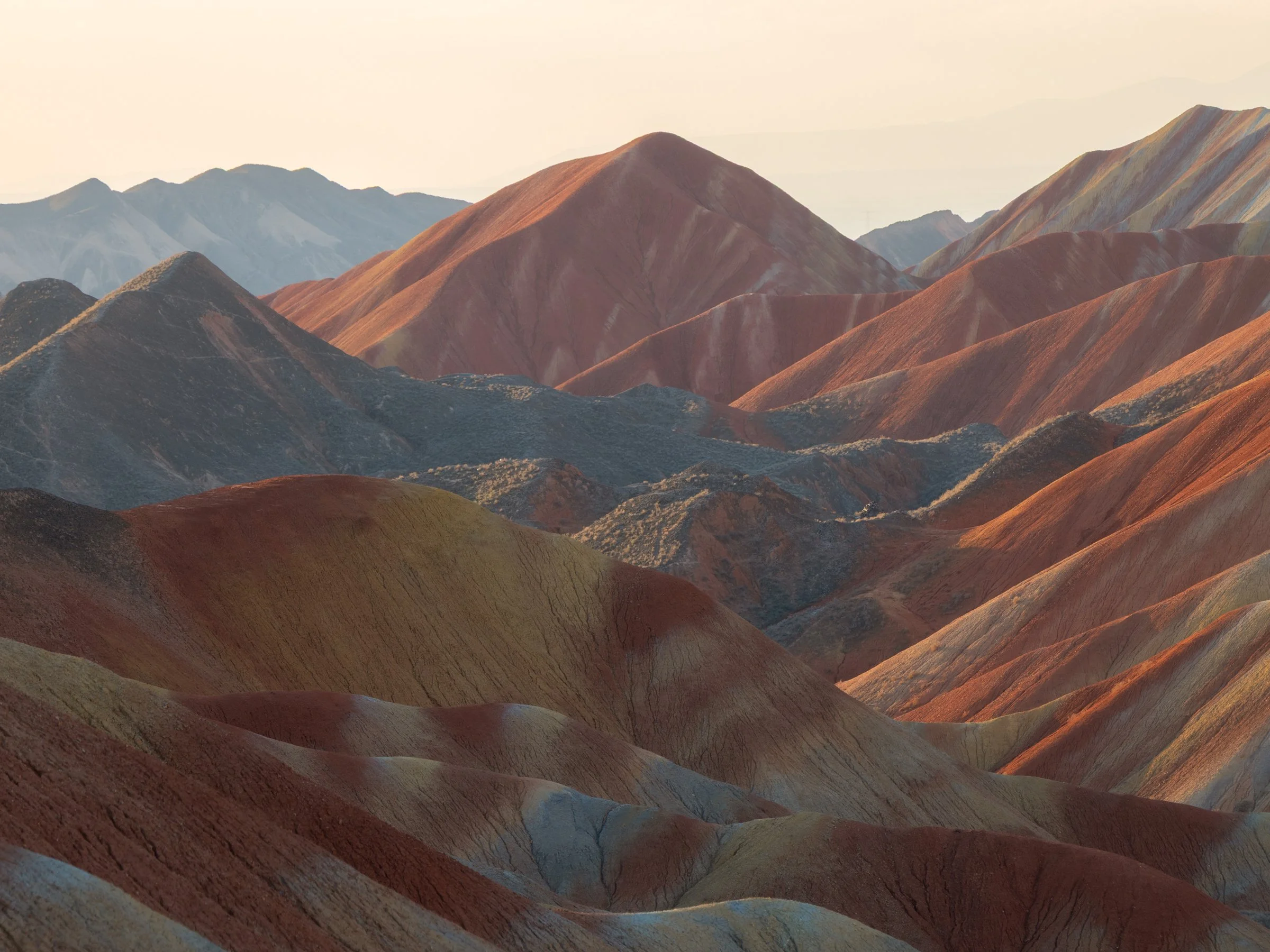 Danxia alba-3.jpg