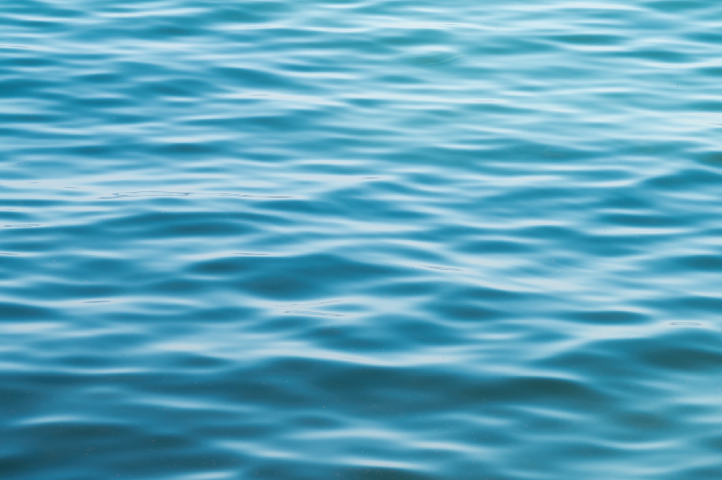 Armonia nelle onde.jpg