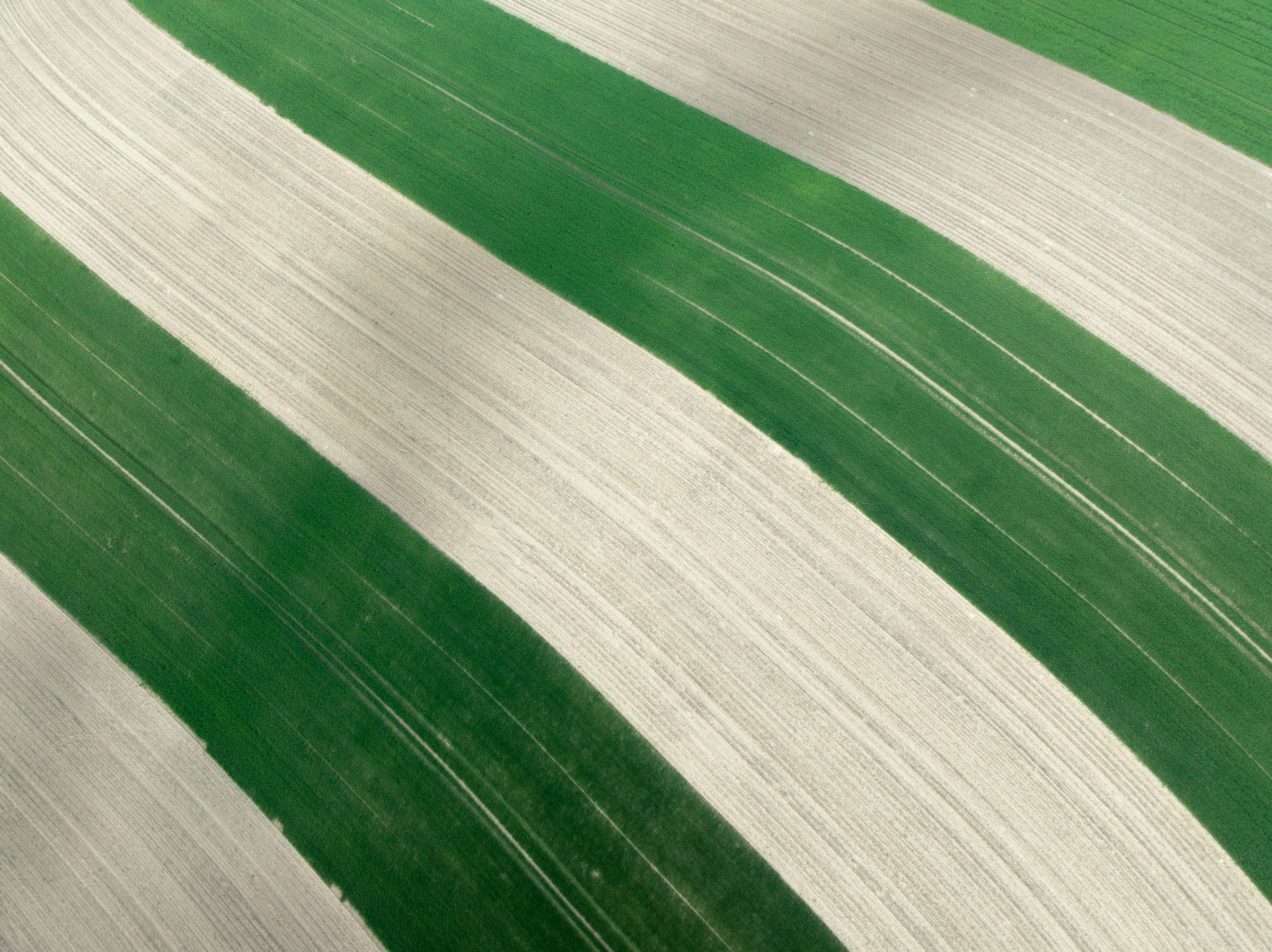 Strisce ondulate-2.jpg