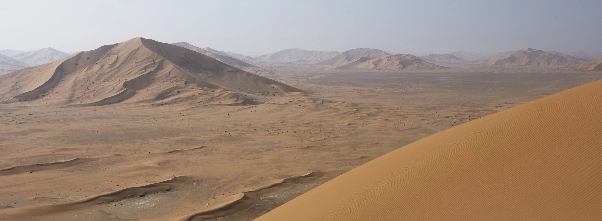 Pano tra le dune.jpg