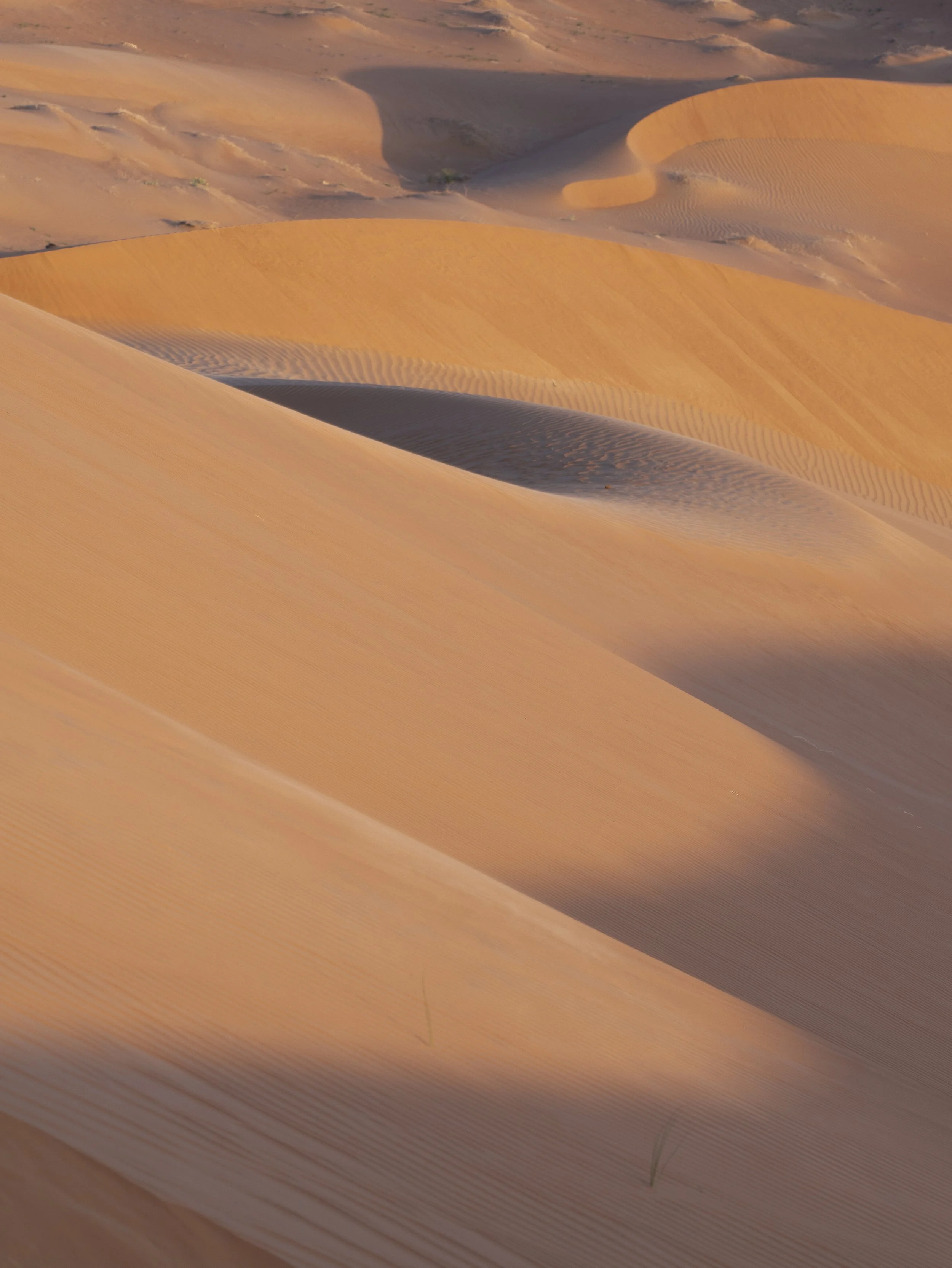 Angoli disegnati.jpg