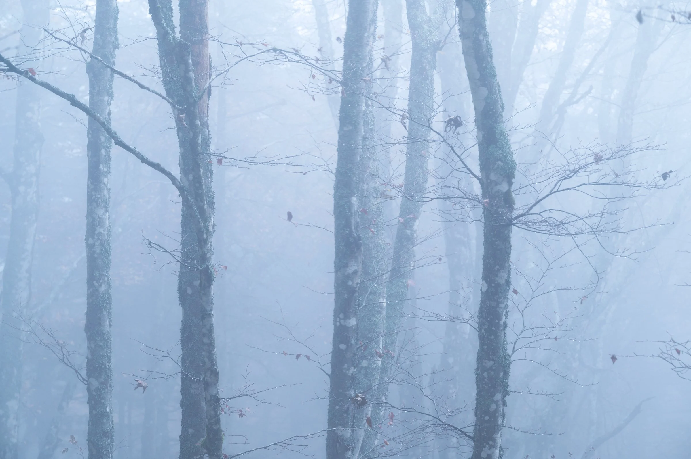 Atmosfera autunnale.jpg