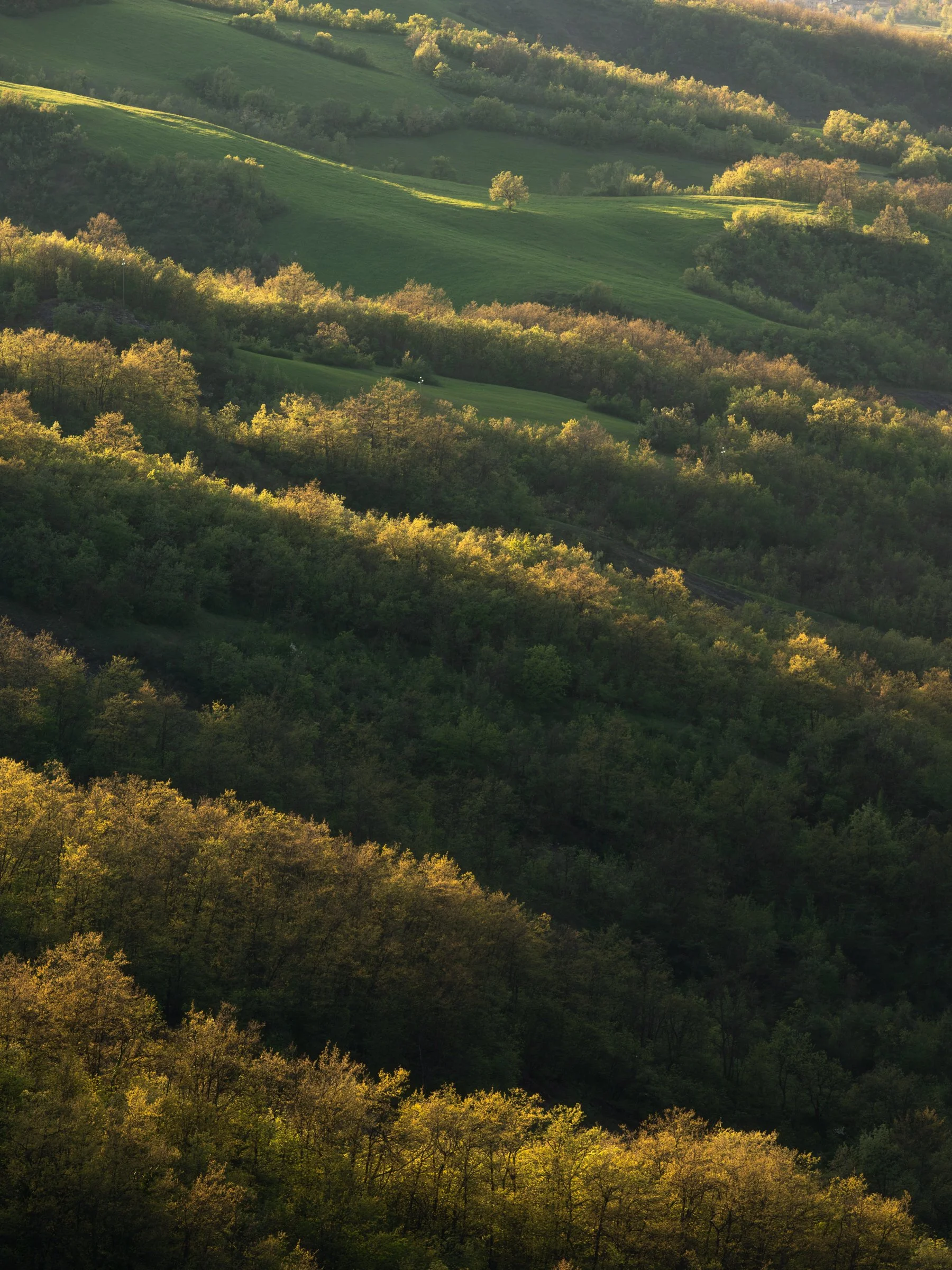 Pennellate di luce in verticale.jpg