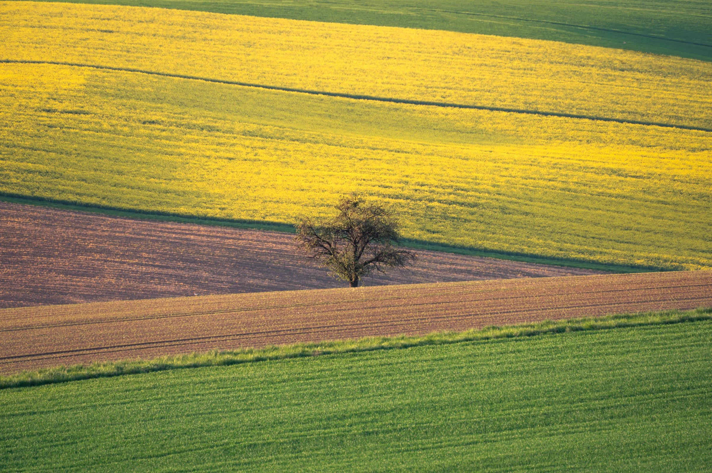 Omaggio a Fontana.jpg