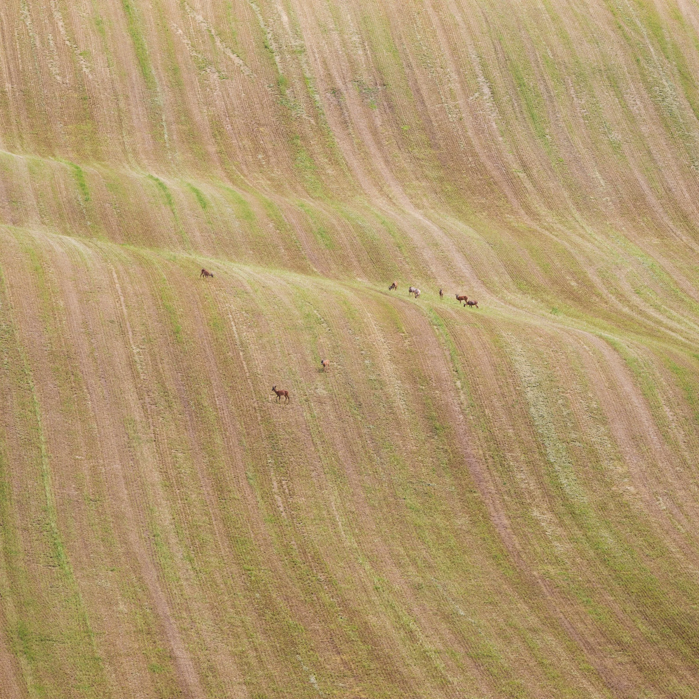 Sulla cresta dell'onda.jpg