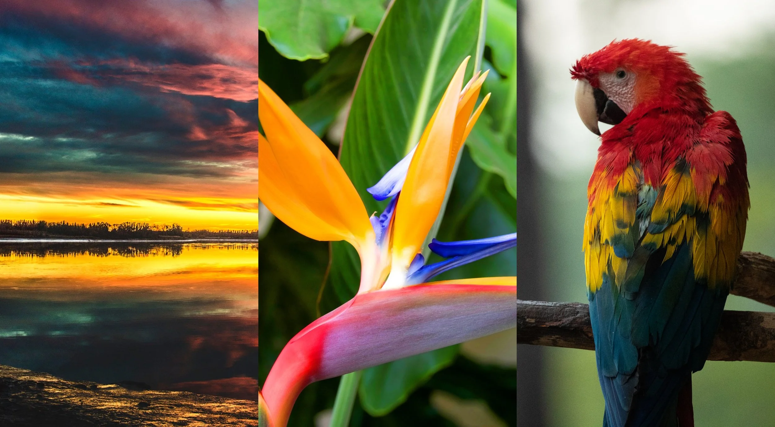 Winning Color Combinations: Triadic combos mean three’s a company ...