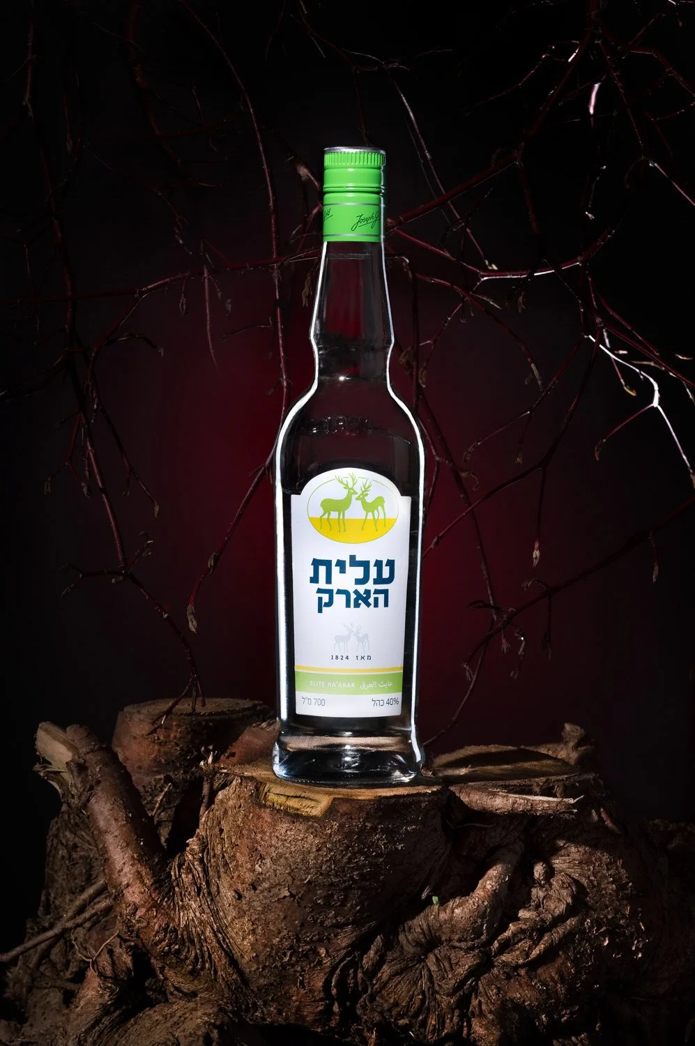 dramatic-dark-arak-bottle-studio-photography.jpg