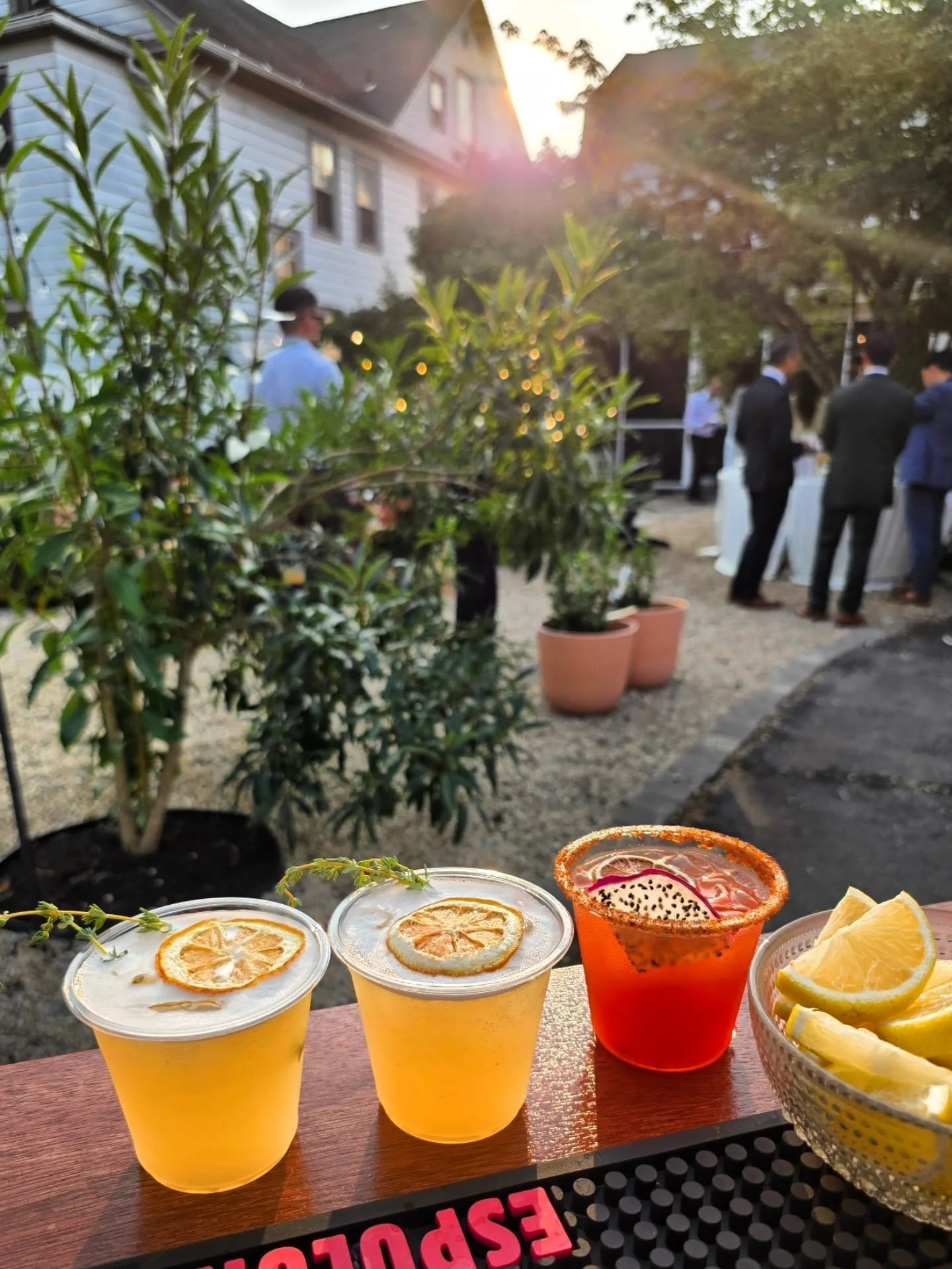 One of our favorite things about what we do are the views ♡
At New places and always great company that comes with it ✨️
Thank you if you were part of our 2025 Season so far!