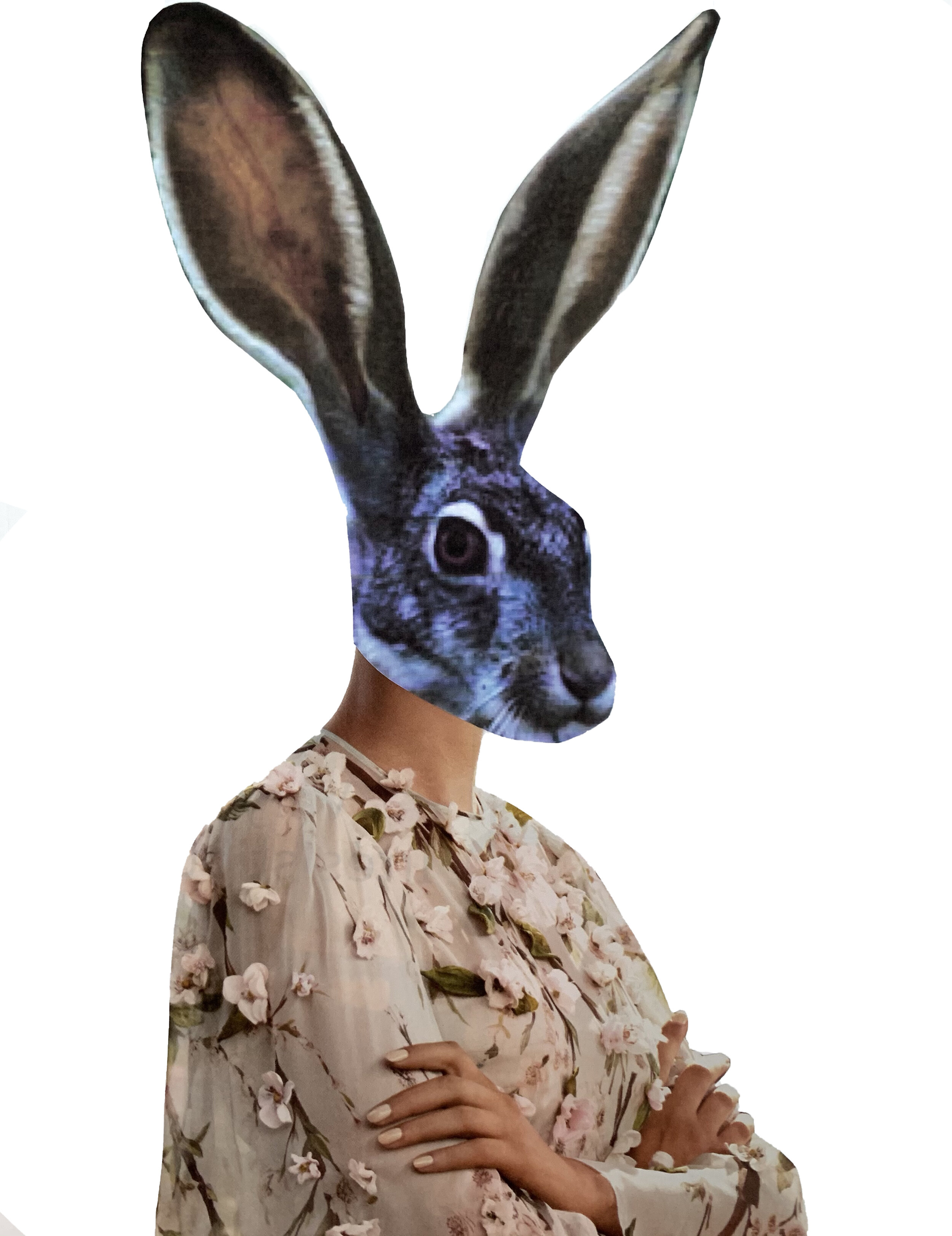 A devil between us Balanced.jpg