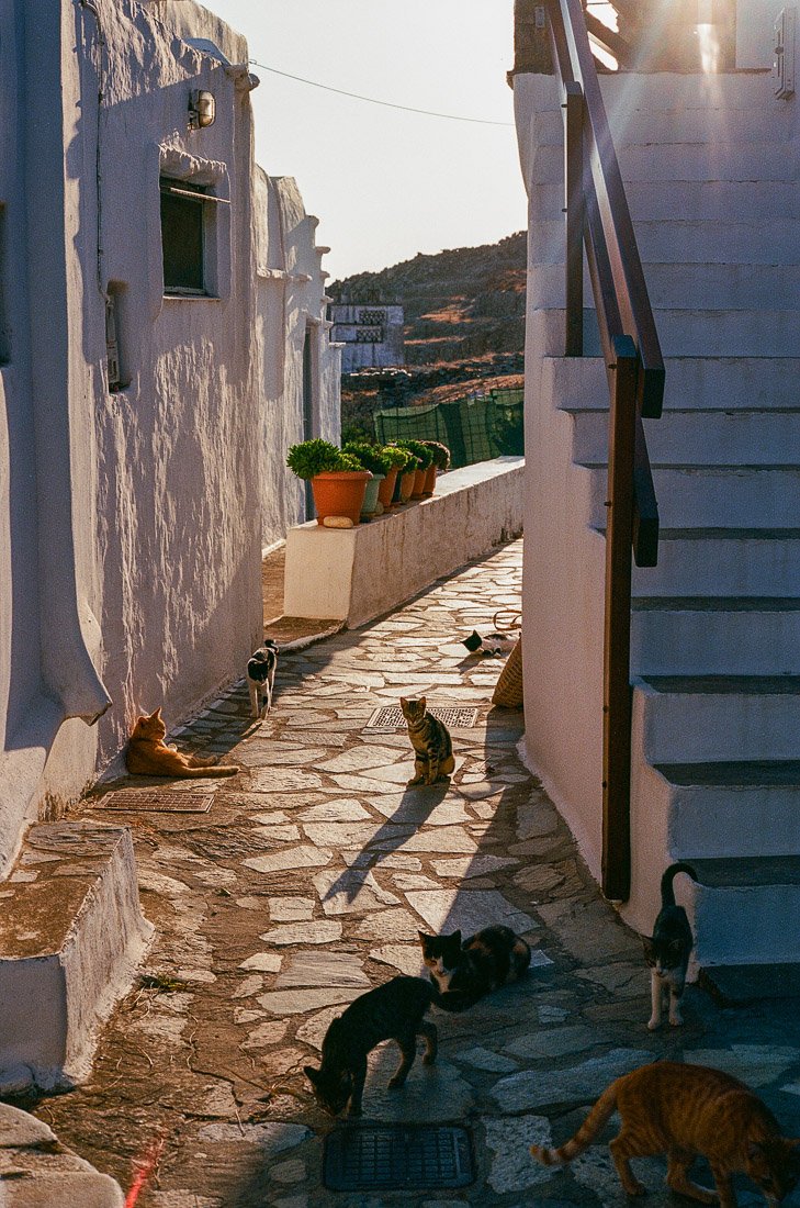Greece-travel-photography-2-2.jpg