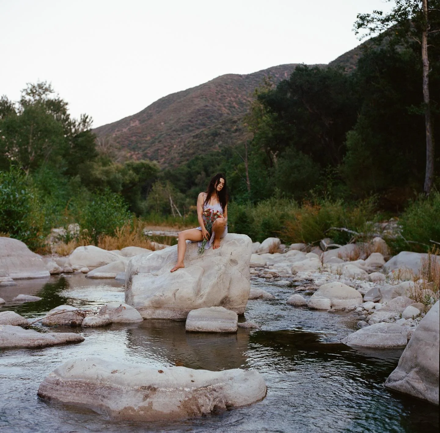 my desires gods promises

portraits of the unbelievable beauty and oddity that is Mariam. truly you can only be so attractive if you&rsquo;re not also very, very strange and Mariam is both (we laughed a lot)
#mediumformat #portraits
