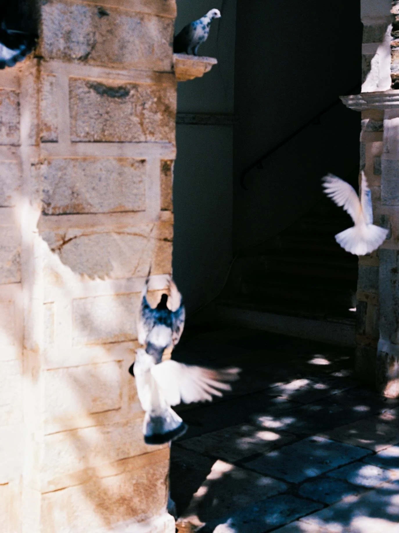 (audience,) i invite you to understand. this does not mean it will happen.

yesterday was 18 years since She slipped so far She was almost past the final irretrievable gate,
in the hospital all the machines began to rattle, 
but riding the crest of s