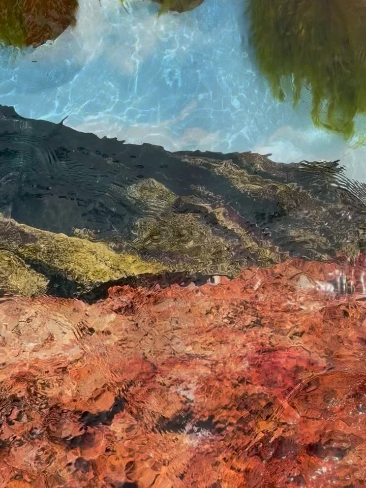 mount etna prints are finally avaialble (4 sizes, 2 paper types! choices choices choices. all details on rectangular prints below, square prints in next post.) 

I was very moved by this mountain, and felt very drawn to investigate the relationship b