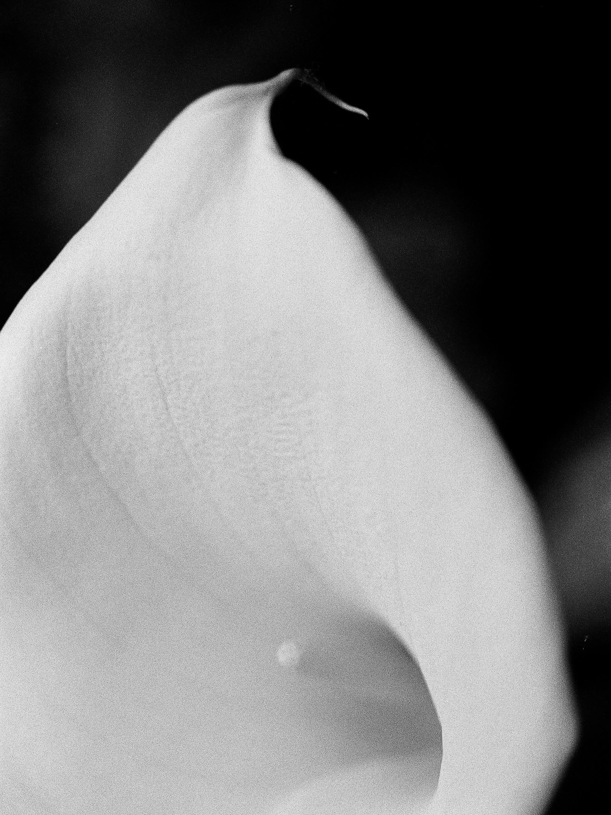 lately, when opening up about my coaching methods/ 
/opinions/approach to relating and sensuality, i have had certain voices mirror back, &lsquo;(you) sound like a man hater.&rsquo;

let&rsquo;s get something straight, i find binaries very devoid of 