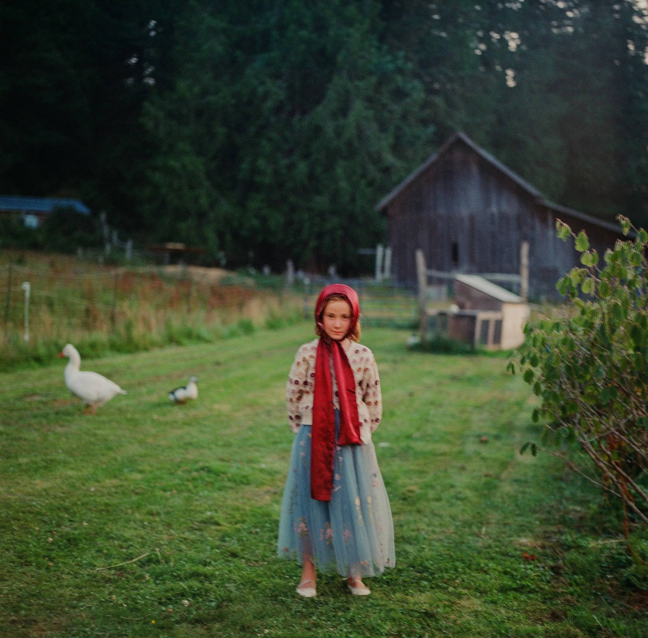 kids and cake and mountains of butter.

happy feast day 🤎 @indigoifree + @flutelistener 

#westbeachfarmorcasisland
