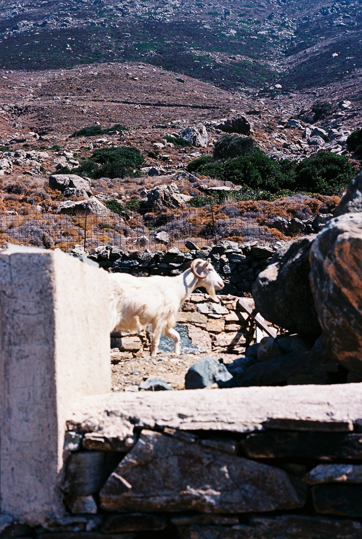 Greece-travel-photography-7-2.jpg