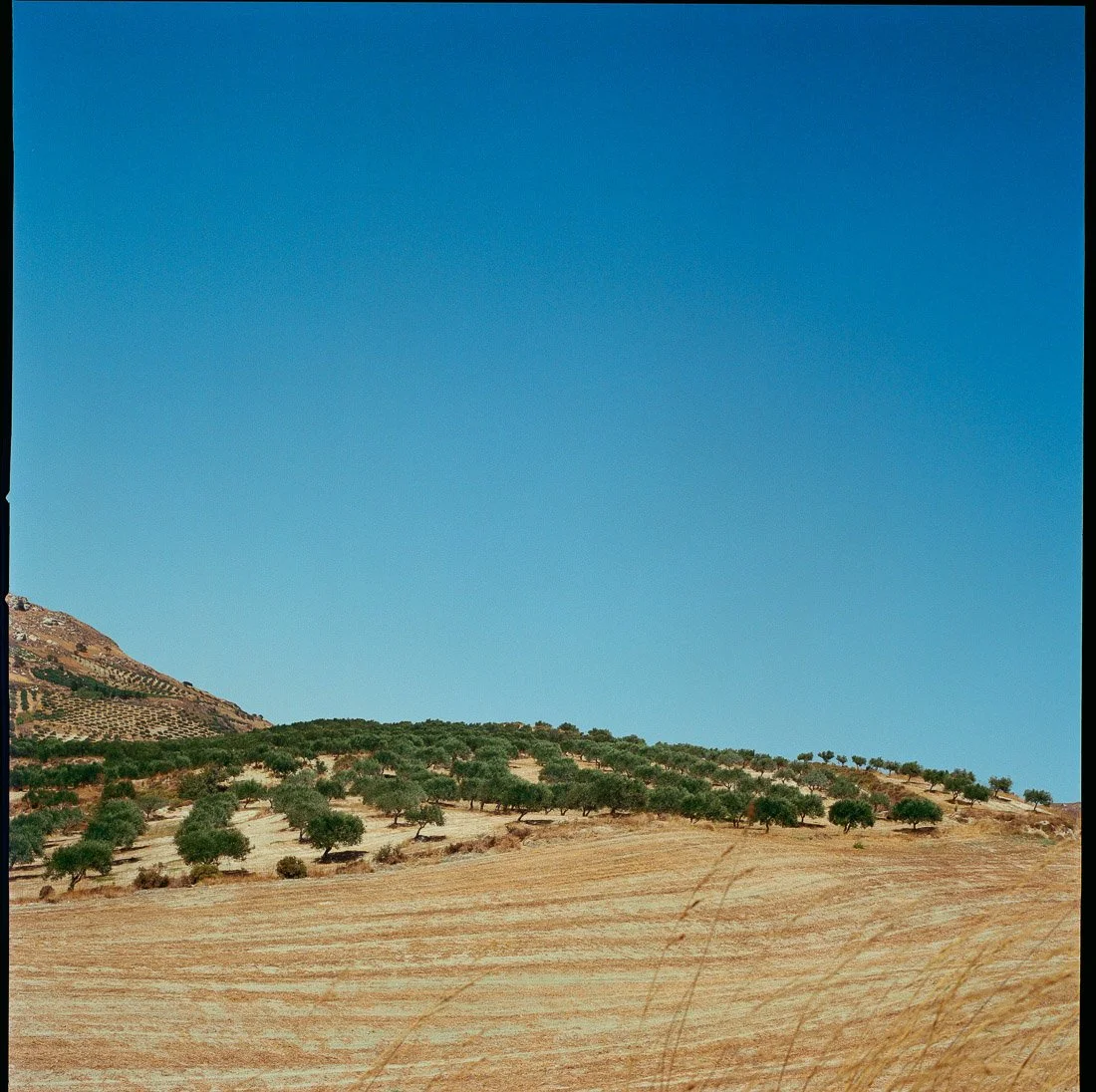 Sicily-travel-photographer-27.jpg