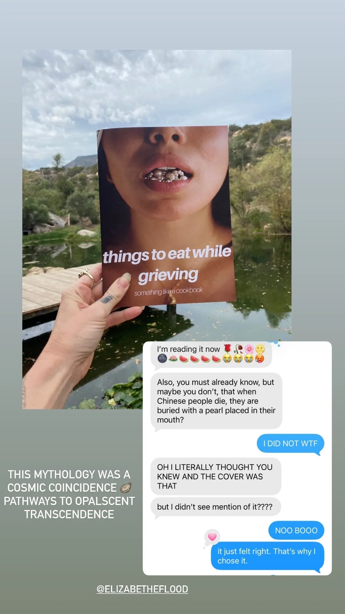 things to eat while grieving (preorders)