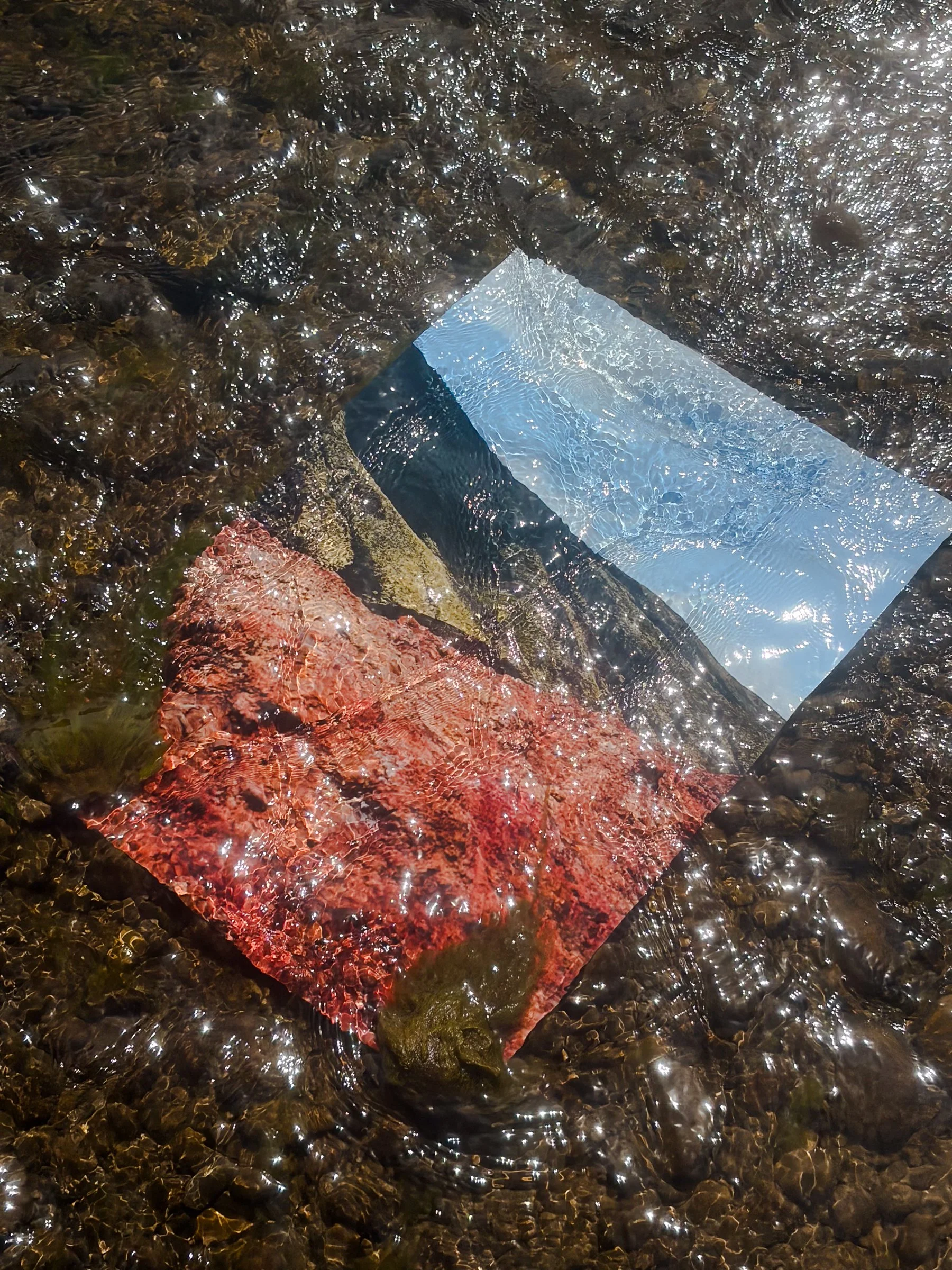 mount etna prints