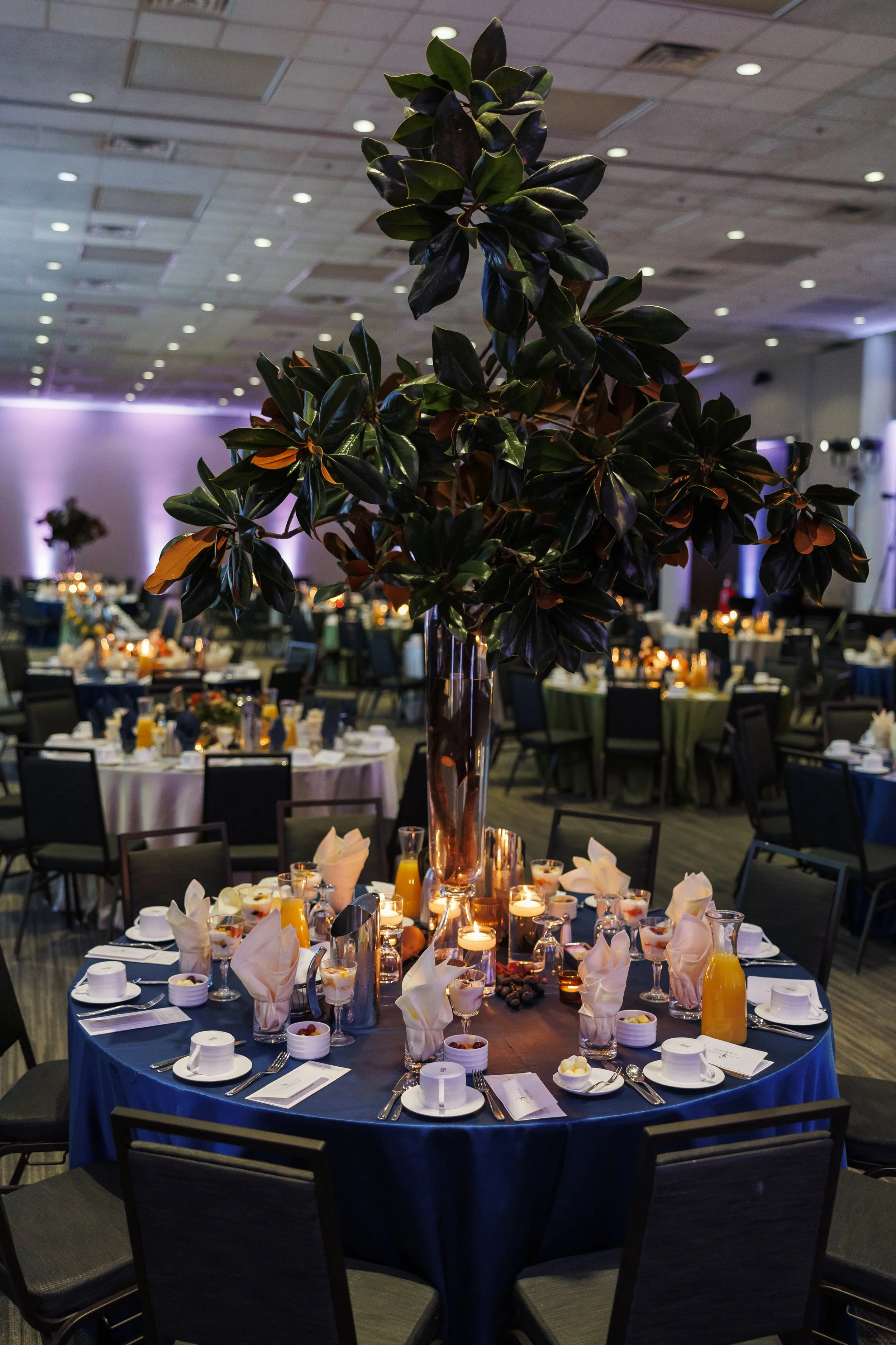 UHC Gala at the Greenville SC Convention Center 