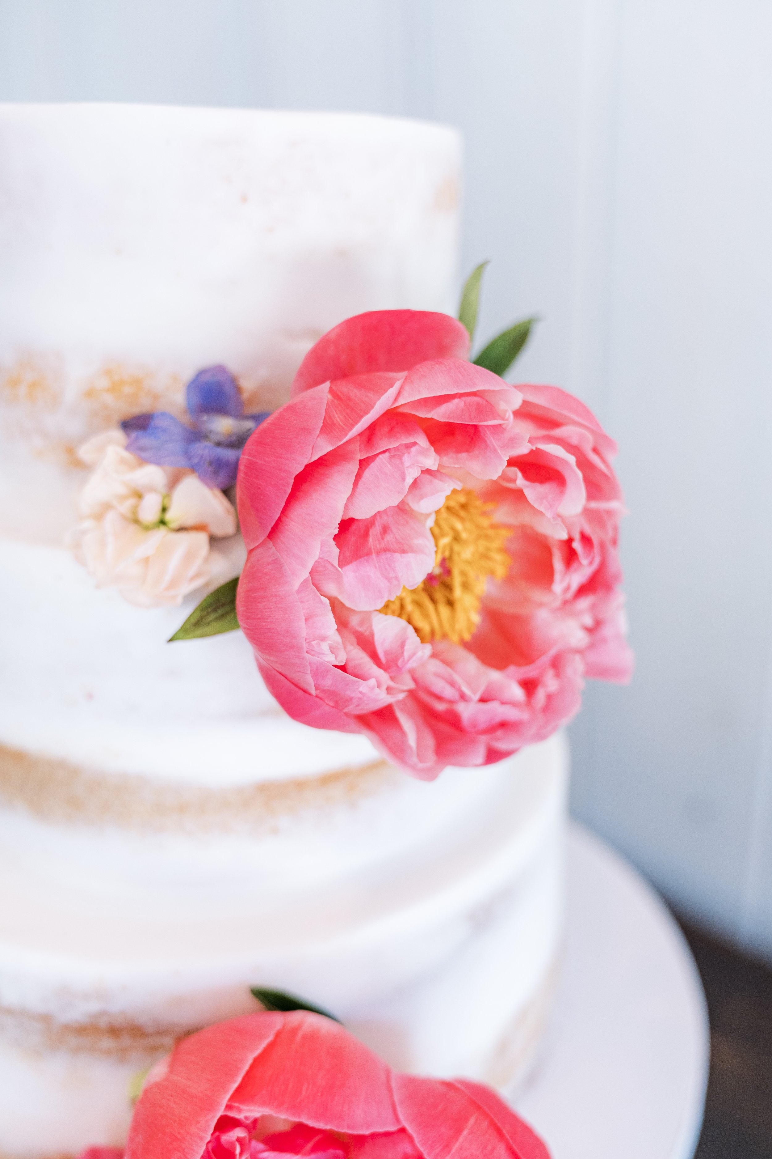 hillwedding_sneaks-139.jpg