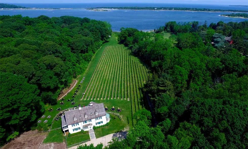Harmony Vineyards