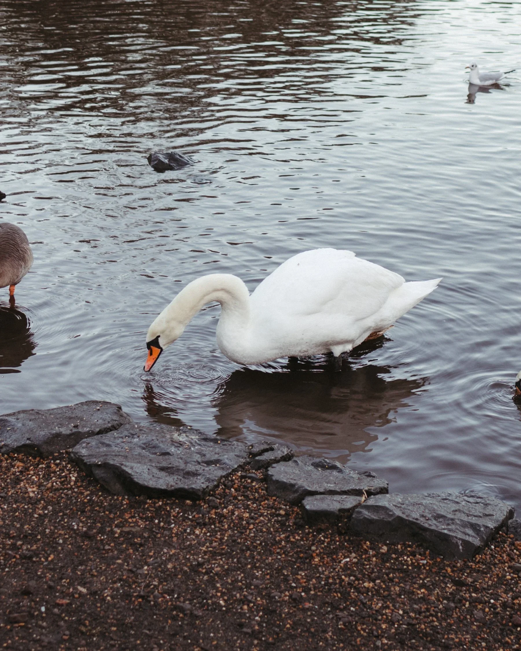 My Personal Approach to Trauma Informed Wedding Photography