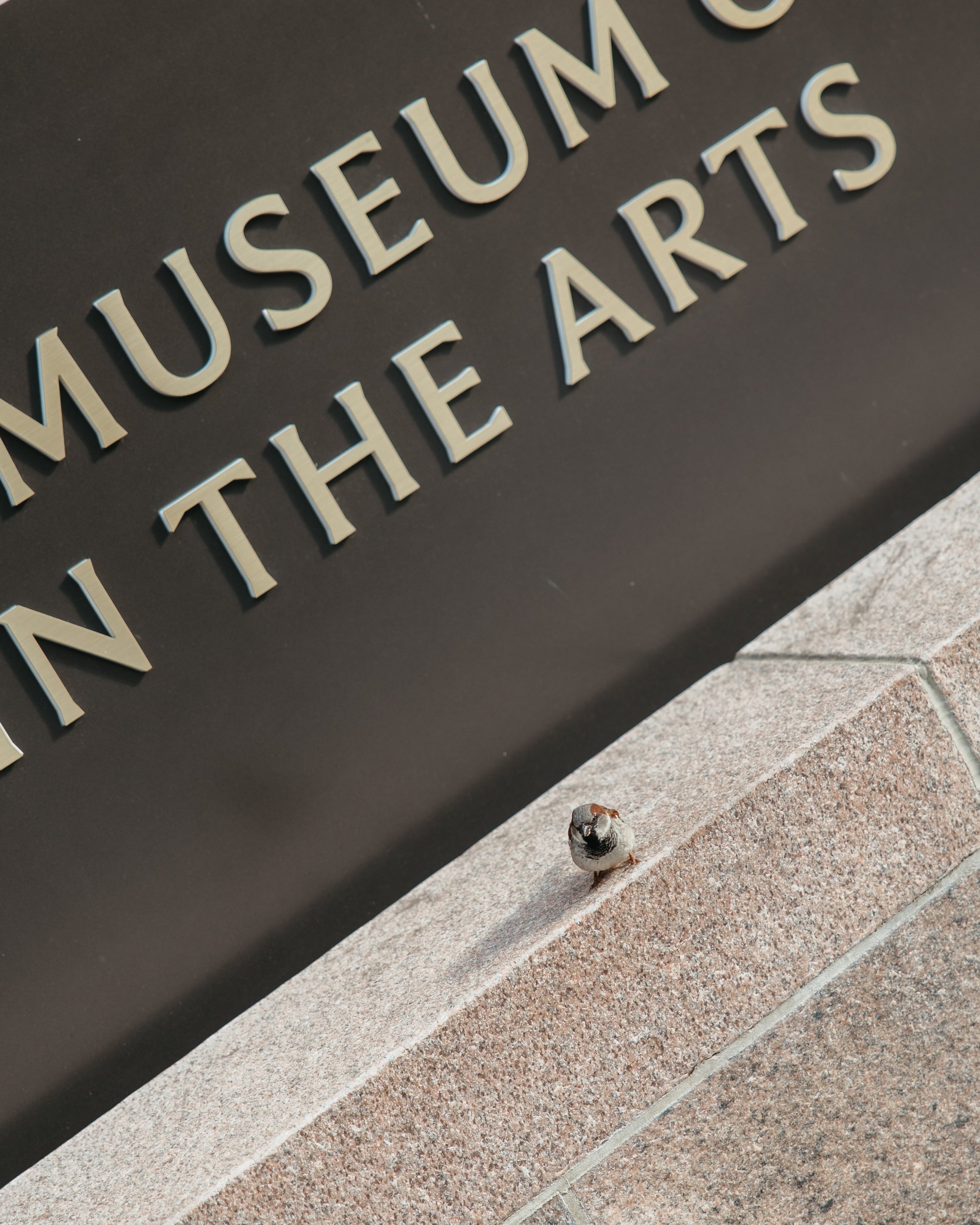Documentary wedding detail image of the National Museum of Women in the Arts signage in Washington DC, with a small sparrow perched on the pink granite ledge below the raised metallic letters. Captured by Kathleen Baker Photography, luxury wedding ph