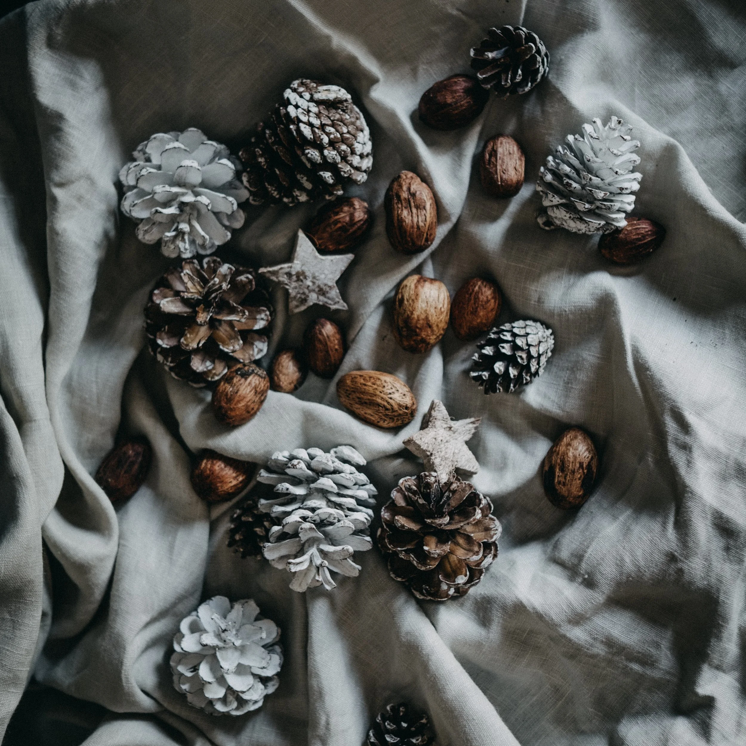 The Zero Waste Holiday Challenge