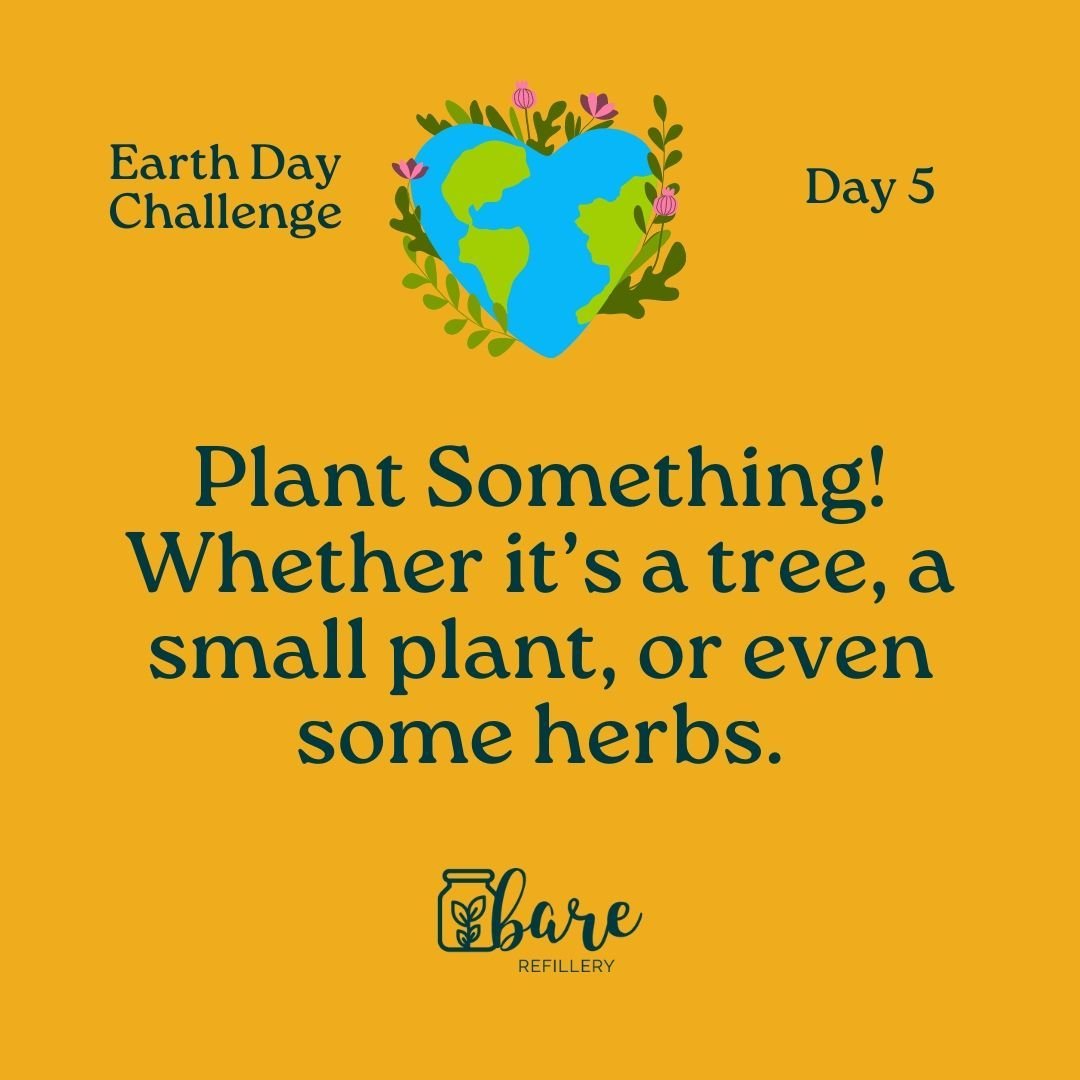 Day 5/9 Challenge: 🌍 PLANT SOMETHING 🌍

Today's task is simple yet impactful - plant something. It could be a tree in your backyard, herbs on your windowsill, or a flower in a small pot. If you can't, let's give some seeds to your friends!

Plants 